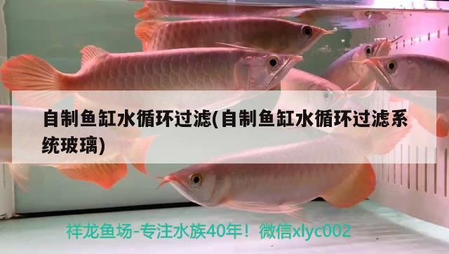 自制魚缸水循環(huán)過濾(自制魚缸水循環(huán)過濾系統(tǒng)玻璃)