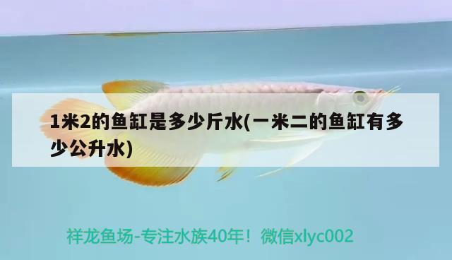 1米2的魚缸是多少斤水(一米二的魚缸有多少公升水)