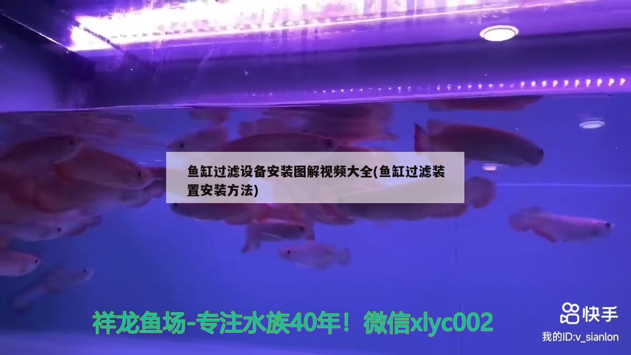 魚缸過濾設備安裝圖解視頻大全(魚缸過濾裝置安裝方法)