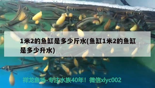 1米2的魚缸是多少斤水(魚缸1米2的魚缸是多少升水)