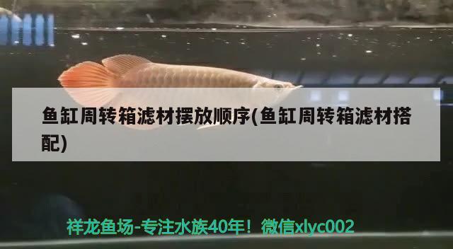 魚缸周轉箱濾材擺放順序(魚缸周轉箱濾材搭配) 祥龍魚場其他產品