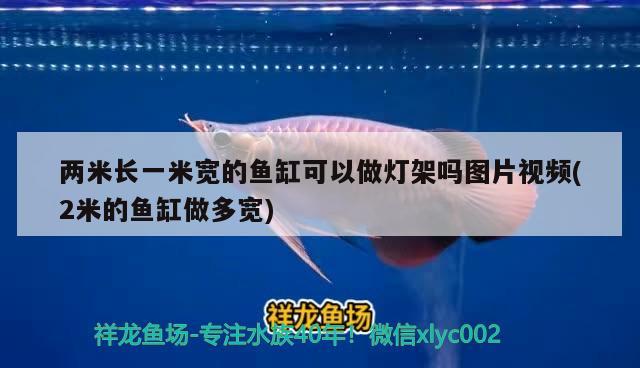 兩米長(zhǎng)一米寬的魚(yú)缸可以做燈架嗎圖片視頻(2米的魚(yú)缸做多寬) 虎魚(yú)魚(yú)苗