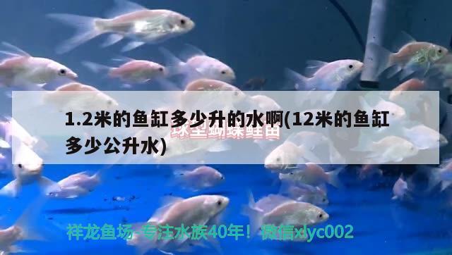 1.2米的魚缸多少升的水啊(12米的魚缸多少公升水) 觀賞魚水族批發(fā)市場(chǎng)