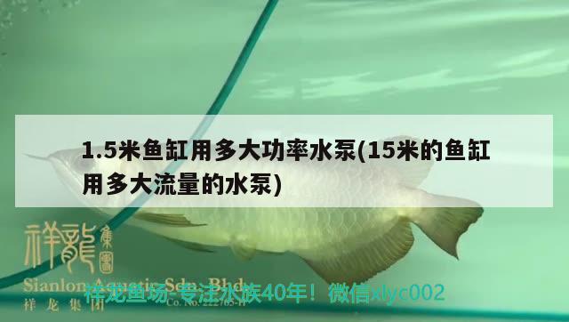 1.5米魚缸用多大功率水泵(15米的魚缸用多大流量的水泵)