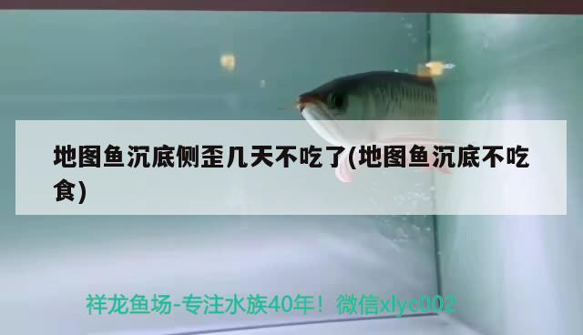 地圖魚沉底側(cè)歪幾天不吃了(地圖魚沉底不吃食) 觀賞魚