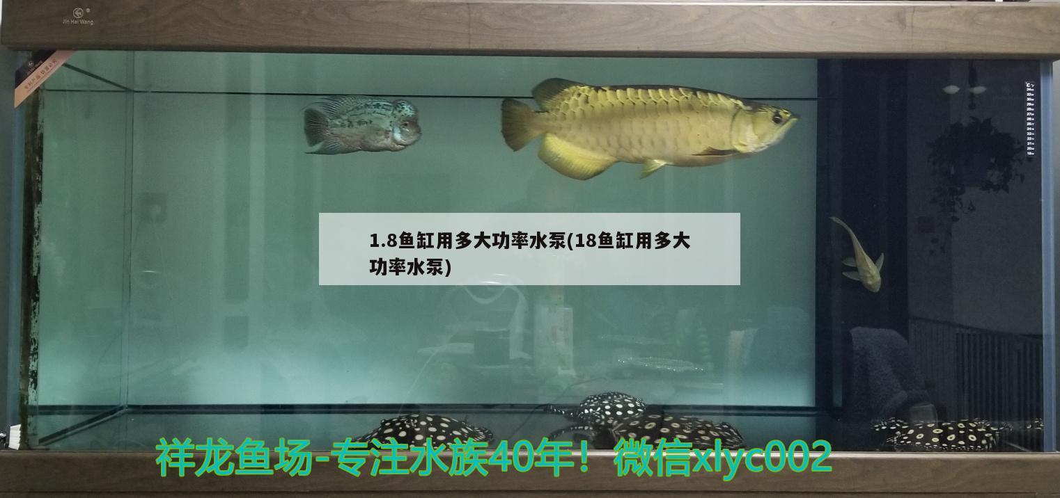 1.8魚缸用多大功率水泵(18魚缸用多大功率水泵)