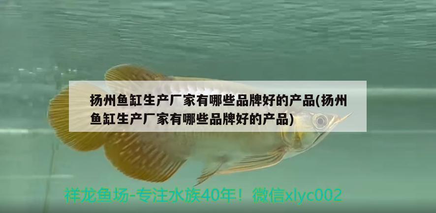 揚(yáng)州魚缸生產(chǎn)廠家有哪些品牌好的產(chǎn)品(揚(yáng)州魚缸生產(chǎn)廠家有哪些品牌好的產(chǎn)品)