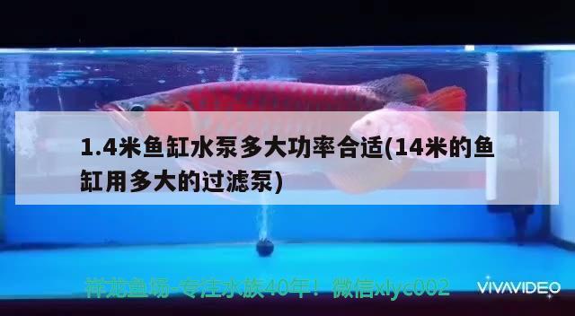 1.4米魚缸水泵多大功率合適(14米的魚缸用多大的過濾泵) 魚缸水泵