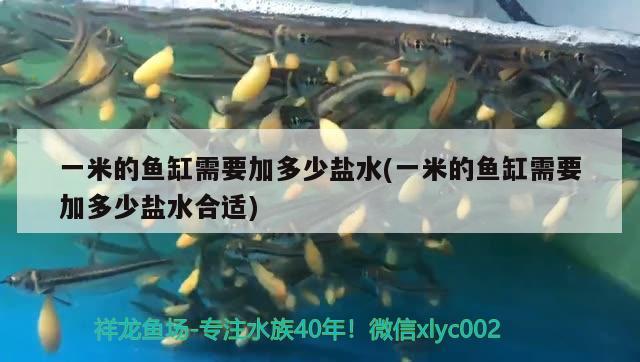 一米的魚缸需要加多少鹽水(一米的魚缸需要加多少鹽水合適)