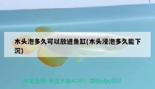 木頭泡多久可以放進魚缸(木頭浸泡多久能下沉) 月光鴨嘴魚