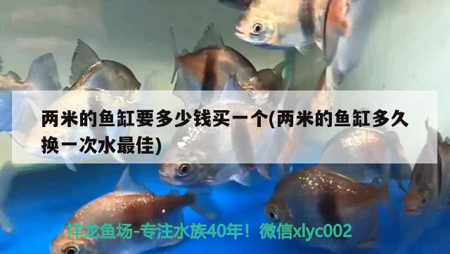 兩米的魚缸要多少錢買一個(gè)(兩米的魚缸多久換一次水最佳)