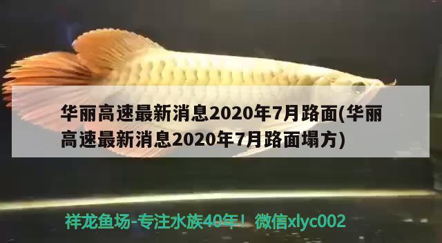 華麗高速最新消息2020年7月路面(華麗高速最新消息2020年7月路面塌方) 觀賞魚(yú)