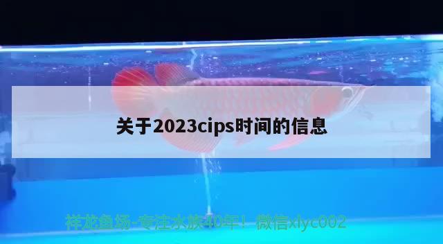 關(guān)于2023cips時間的信息