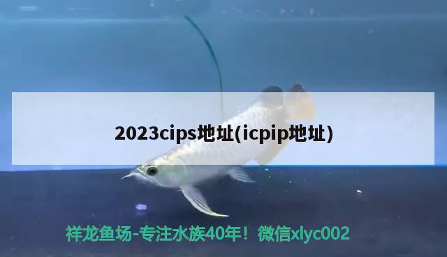 2023cips地址(icpip地址) 水族雜談