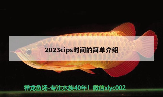 2023cips時間的簡單介紹 水族雜談