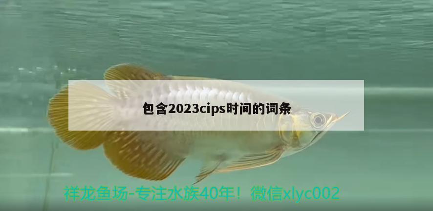 包含2023cips時(shí)間的詞條 水族雜談