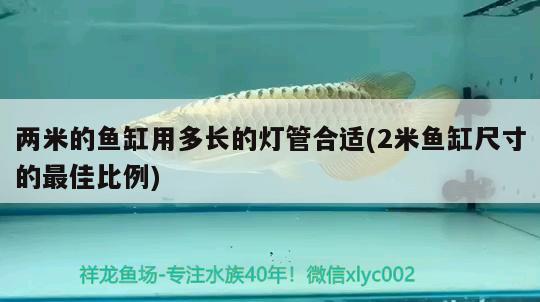 兩米的魚缸用多長的燈管合適(2米魚缸尺寸的最佳比例) 觀賞魚批發(fā)