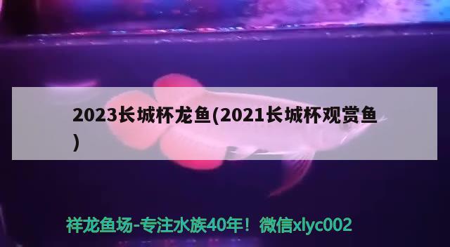 2023長城杯龍魚(2021長城杯觀賞魚) 2024第28屆中國國際寵物水族展覽會CIPS（長城寵物展2024 CIPS）