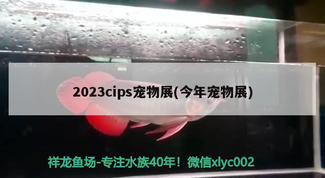 2023cips寵物展(今年寵物展) 水族雜談