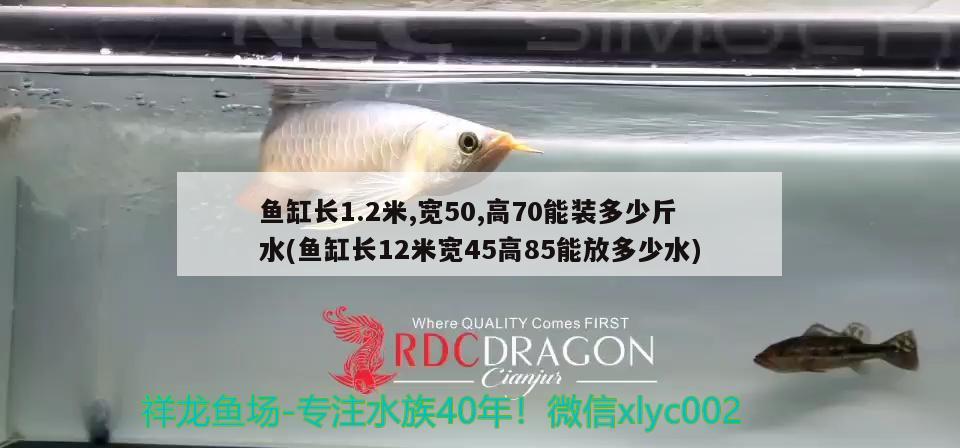 魚缸長1.2米,寬50,高70能裝多少斤水(魚缸長12米寬45高85能放多少水) 祥龍魚場品牌產(chǎn)品