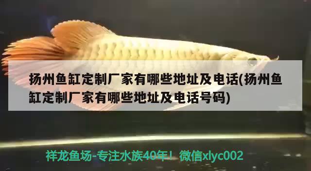 揚(yáng)州魚(yú)缸定制廠家有哪些地址及電話(huà)(揚(yáng)州魚(yú)缸定制廠家有哪些地址及電話(huà)號(hào)碼) 觀賞魚(yú)百科