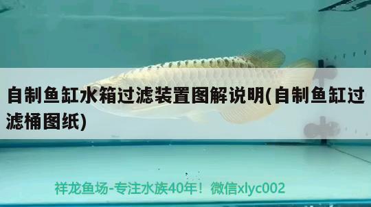 自制魚(yú)缸水箱過(guò)濾裝置圖解說(shuō)明(自制魚(yú)缸過(guò)濾桶圖紙)