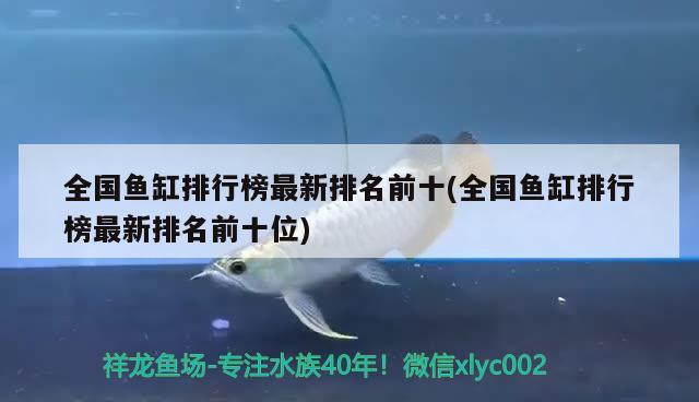 全國魚缸排行榜最新排名前十(全國魚缸排行榜最新排名前十位) 帝王血鉆