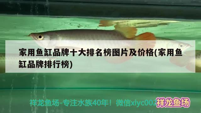 家用魚缸品牌十大排名榜圖片及價格(家用魚缸品牌排行榜)