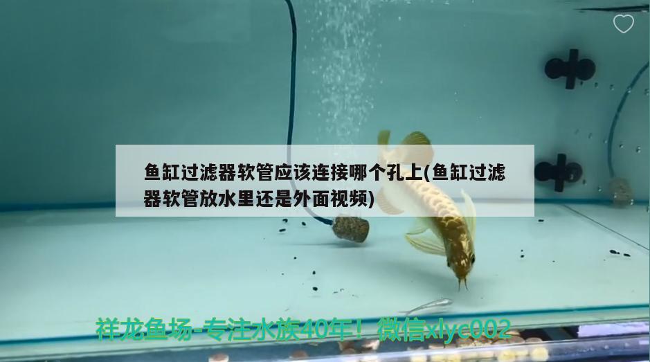 魚(yú)缸過(guò)濾器軟管應(yīng)該連接哪個(gè)孔上(魚(yú)缸過(guò)濾器軟管放水里還是外面視頻)