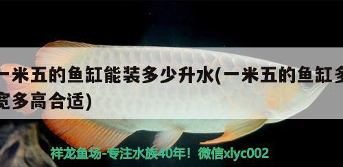 一米五的魚缸能裝多少升水(一米五的魚缸多寬多高合適)