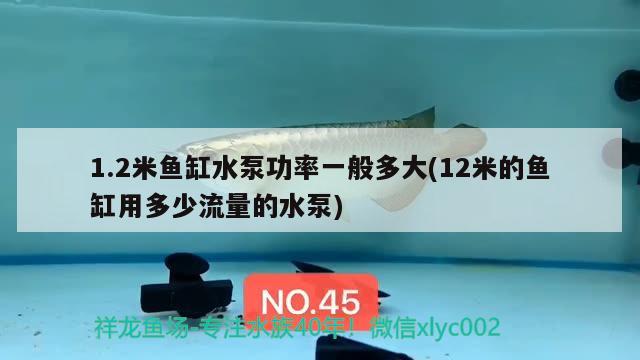 1.2米魚缸水泵功率一般多大(12米的魚缸用多少流量的水泵)