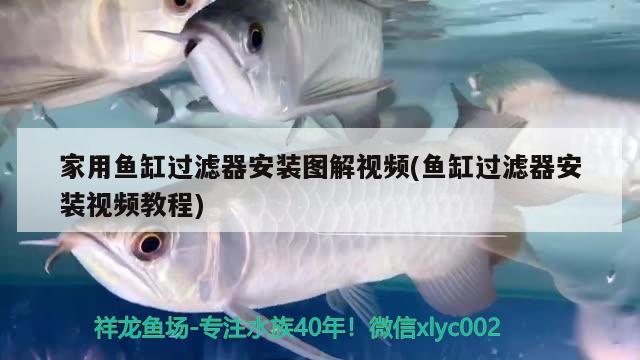 家用魚(yú)缸過(guò)濾器安裝圖解視頻(魚(yú)缸過(guò)濾器安裝視頻教程) 魚(yú)缸風(fēng)水