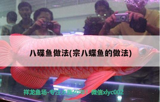 八碟魚做法(宗八蝶魚的做法) 觀賞魚