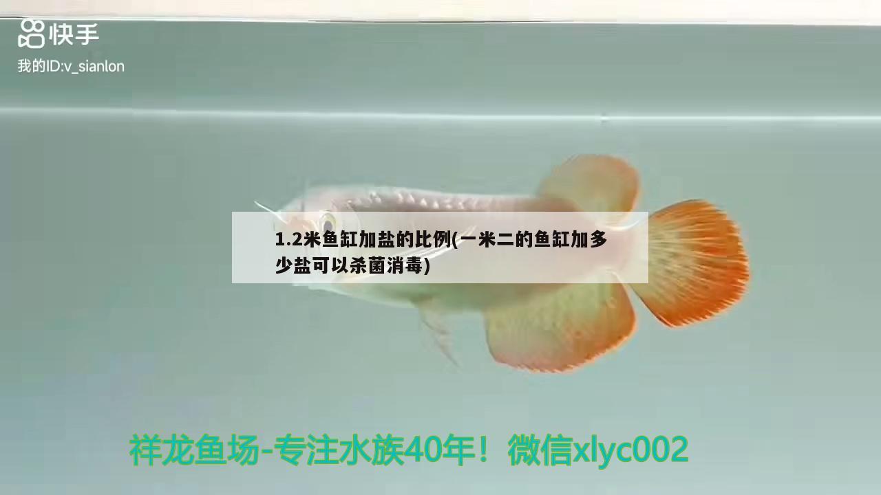 1.2米魚缸加鹽的比例(一米二的魚缸加多少鹽可以殺菌消毒)