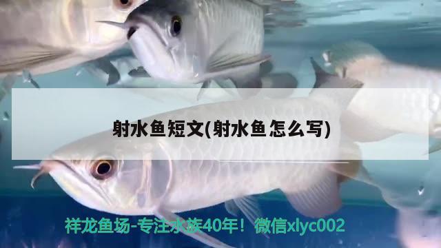 射水魚短文(射水魚怎么寫)