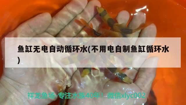 魚缸無電自動循環(huán)水(不用電自制魚缸循環(huán)水)