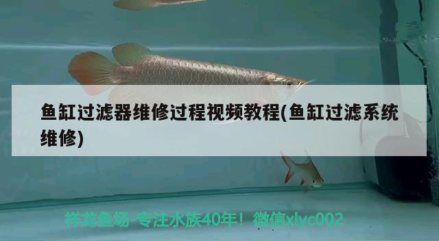 魚缸過濾器維修過程視頻教程(魚缸過濾系統(tǒng)維修) 魟魚百科