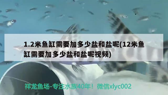 1.2米魚缸需要加多少鹽和鹽呢(12米魚缸需要加多少鹽和鹽呢視頻) 黃金達(dá)摩魚