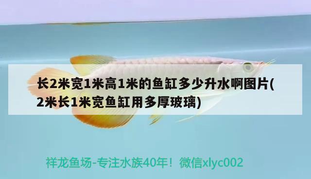 長2米寬1米高1米的魚缸多少升水啊圖片(2米長1米寬魚缸用多厚玻璃) 紅白錦鯉魚