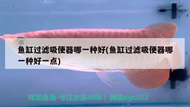 魚缸過濾吸便器哪一種好(魚缸過濾吸便器哪一種好一點(diǎn))