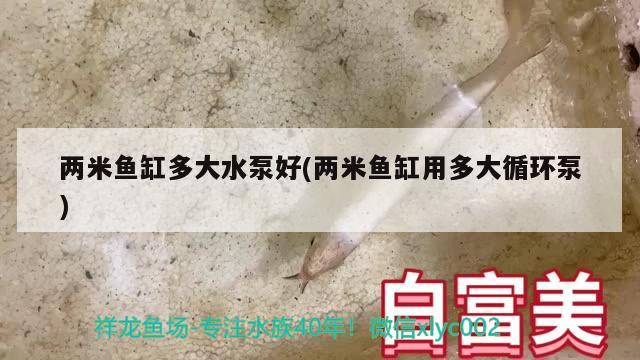 兩米魚缸多大水泵好(兩米魚缸用多大循環(huán)泵) iwish愛唯希品牌魚缸