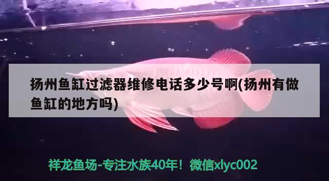 揚(yáng)州魚(yú)缸過(guò)濾器維修電話(huà)多少號(hào)啊(揚(yáng)州有做魚(yú)缸的地方嗎) 印尼小紅龍