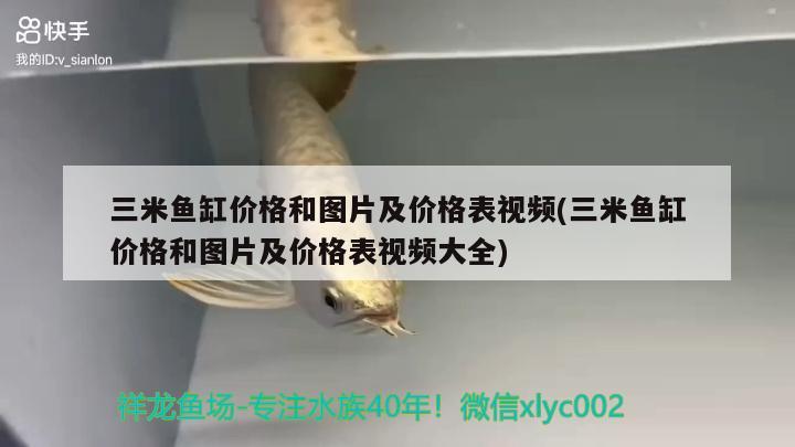 三米魚缸價格和圖片及價格表視頻(三米魚缸價格和圖片及價格表視頻大全)