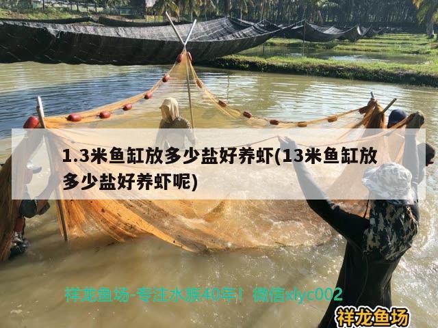 1.3米魚缸放多少鹽好養(yǎng)蝦(13米魚缸放多少鹽好養(yǎng)蝦呢) 水族世界