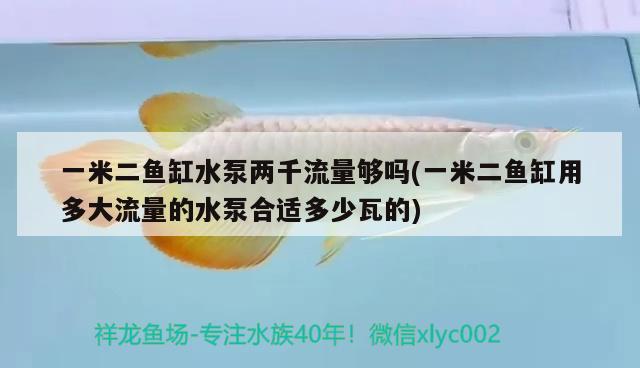 一米二魚缸水泵兩千流量夠嗎(一米二魚缸用多大流量的水泵合適多少瓦的)