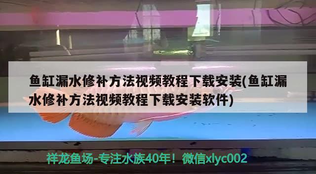 魚缸漏水修補(bǔ)方法視頻教程下載安裝(魚缸漏水修補(bǔ)方法視頻教程下載安裝軟件)