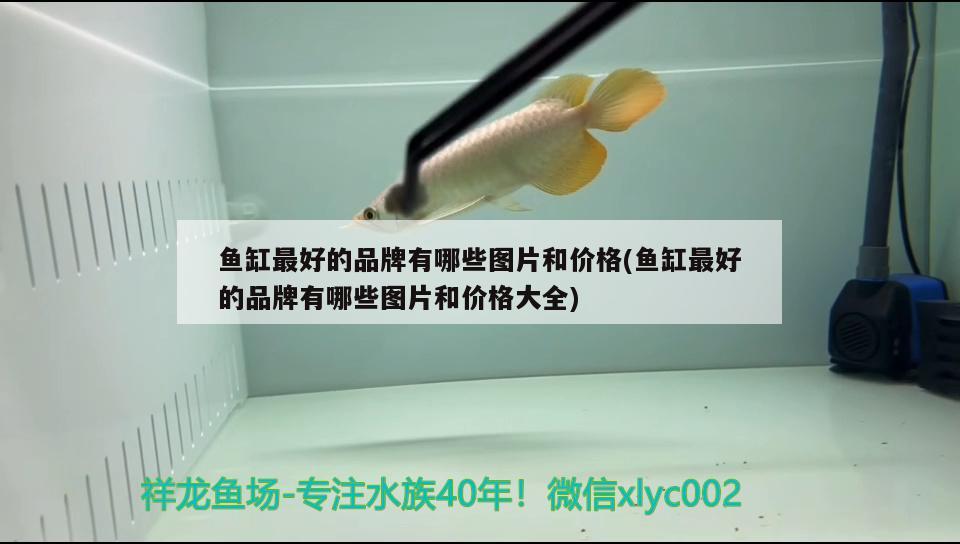 魚(yú)缸最好的品牌有哪些圖片和價(jià)格(魚(yú)缸最好的品牌有哪些圖片和價(jià)格大全)