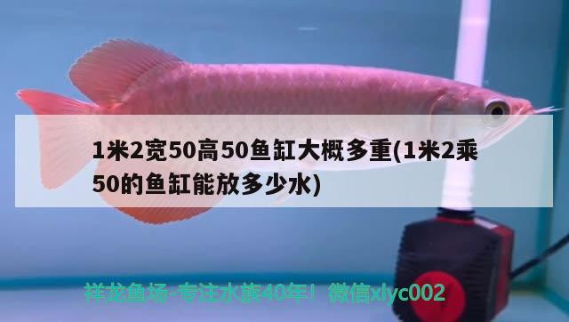 1米2寬50高50魚缸大概多重(1米2乘50的魚缸能放多少水) 蘇虎