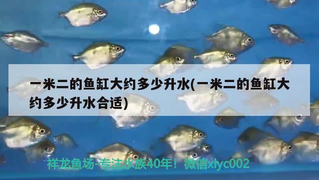 一米二的魚缸大約多少升水(一米二的魚缸大約多少升水合適) 魟魚百科