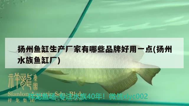 揚(yáng)州魚缸生產(chǎn)廠家有哪些品牌好用一點(diǎn)(揚(yáng)州水族魚缸廠)